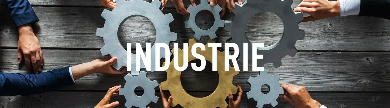 Industrie Sartorom