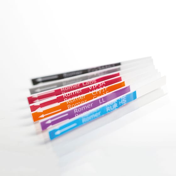 Test de banda AgraStrip Dual Trait Cry1F/Cry34 - TraitChek